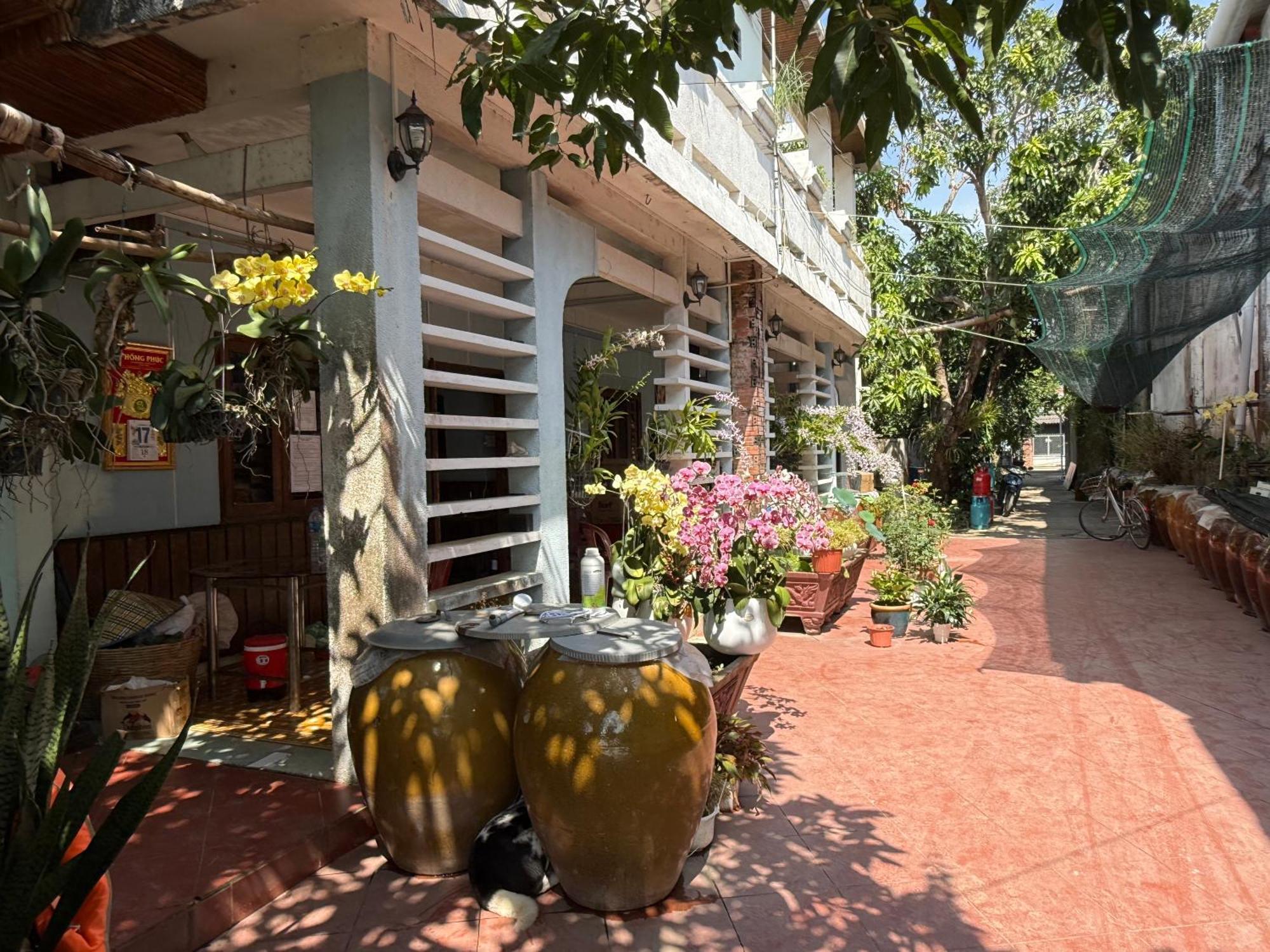 Island Homestay Tien Giang หมีทอ ภายนอก รูปภาพ